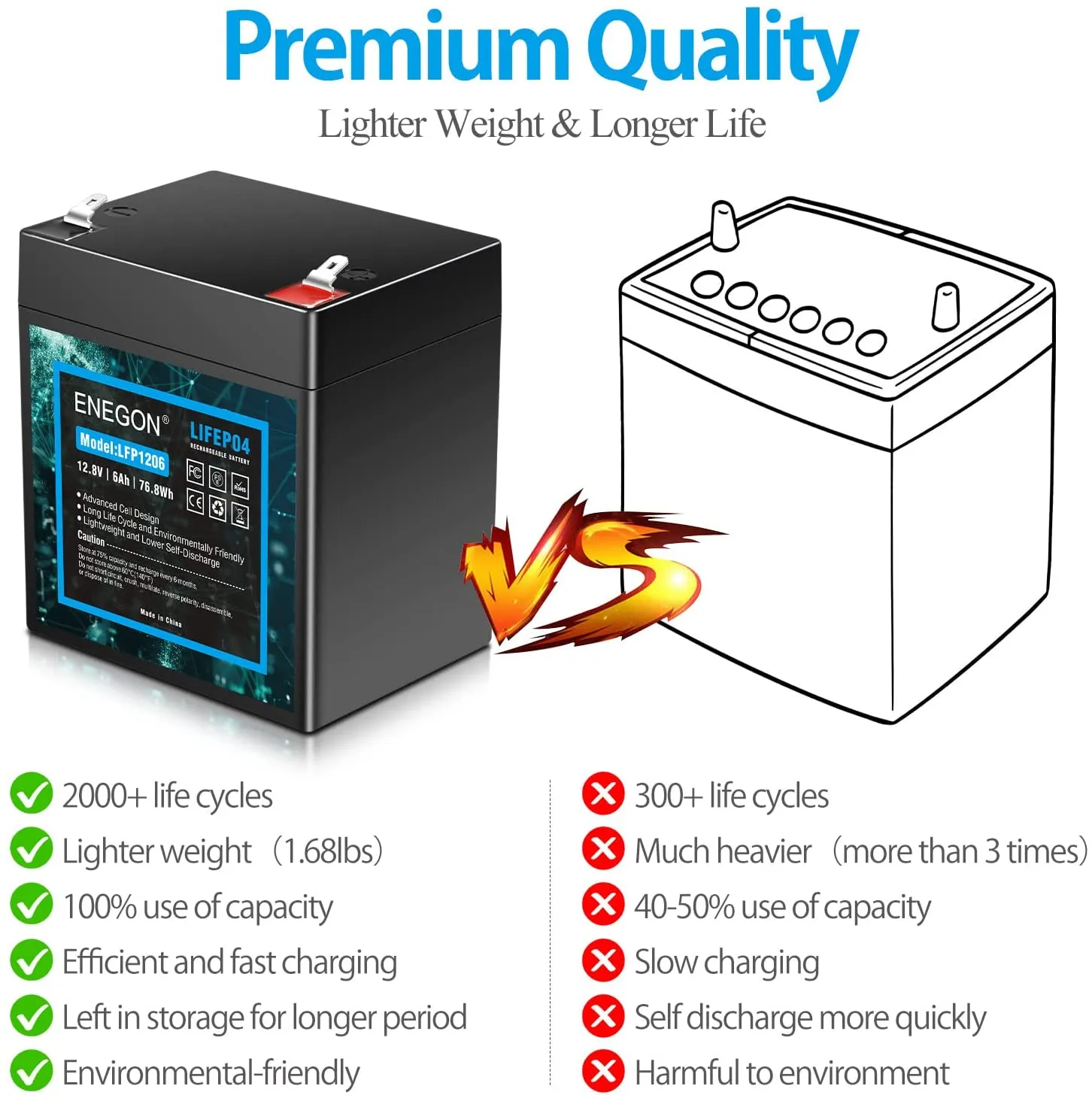 Deep Cycle Battery Charger with 2000 Cycles